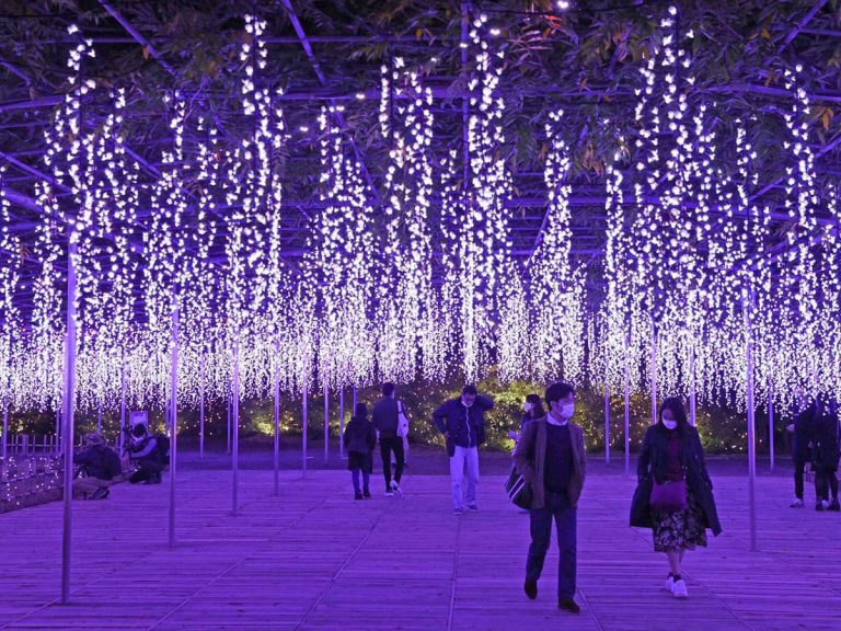 [Hidden Wonders of Japan] Find the Colors of Kimetsu no Yaiba in a Garden of Illuminated Flowers