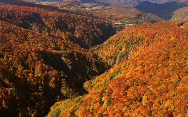 The Best Destinations in Japan For Each Season: Autumn