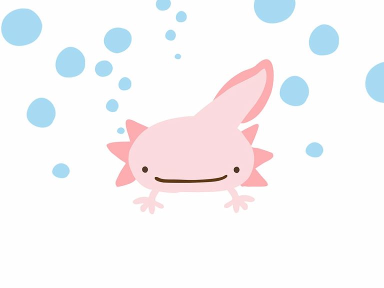 Adorable axolotl smiles and tries to suck up bubbles in video with over 3 million views