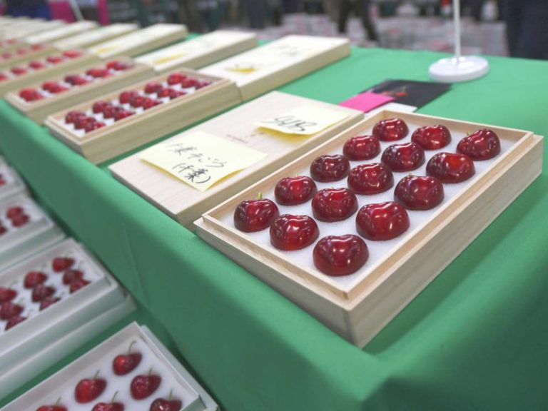 An Auction 1st: ¥40,000 Yen for a Single Cherry!