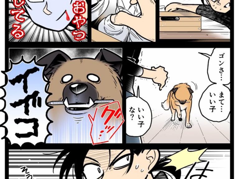 A harrowing showdown between a pet owner and an Apple Pencil bandit [manga]