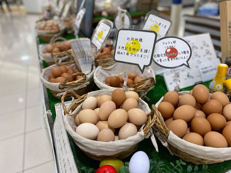Discover exceptional eggs from all over Japan during gourmet egg market at Tokyo Station