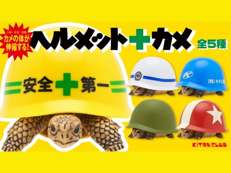 Safety helmet turtles prove Japan has a capsule toy for everything