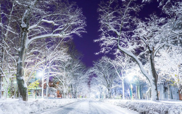 Ethereal Winter Wonderland Photos Taken by Hokkaido Student Look Straight Out of Narnia
