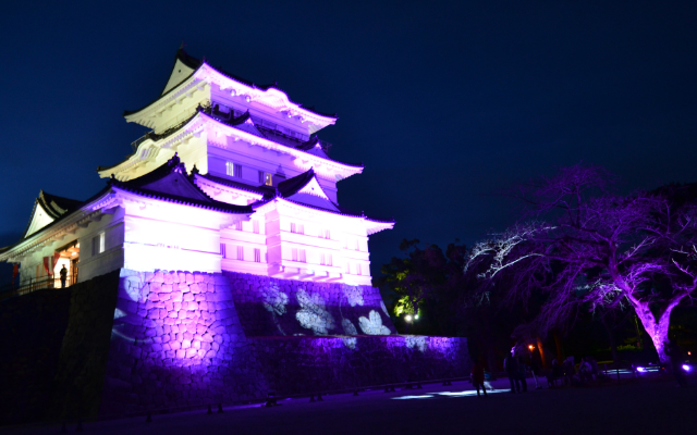 See the Charming Odawara Castle by Taking an Easy Day Trip From Tokyo