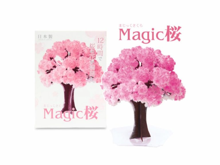 Magic Sakura Tree: The new way to enjoy flower-viewing at home