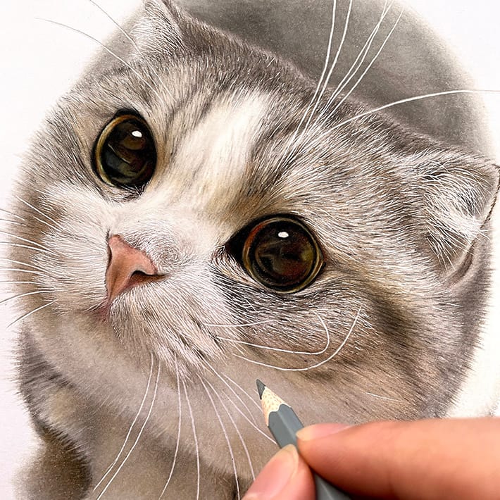 Japanese color pencil artist's animal drawings keep getting more amazing  and more adorable – grape Japan