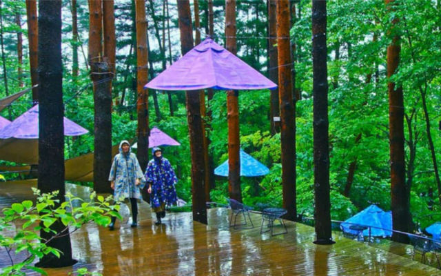 Learn to Love the Rainy Season: Go Ame Glamping