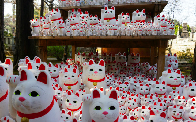 Home to 1000 Lucky Cats Gotokuji is Luckiest Temple in Tokyo for Feline Fans