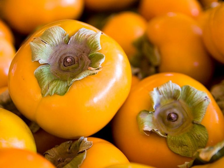 A tasty and novel seasonal dish trends on Twitter: persimmons and blue cheese