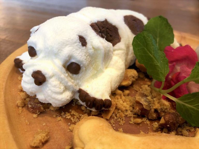 New cafe opening in Aichi serves up an instagrammable ice cream puppy