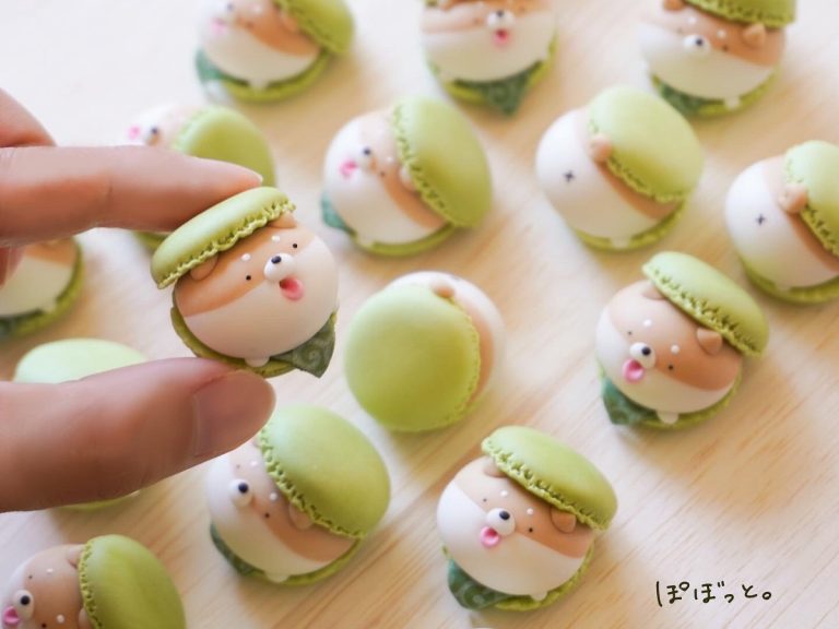 Japanese artist’s shiba inu macarons are just too cute to eat!