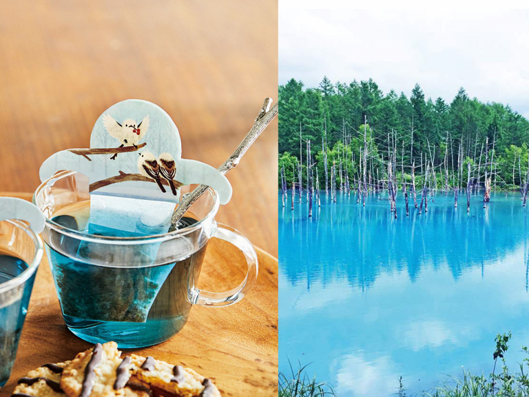 Hokkaido’s Blue Pond Inspired Tea Blends are the Perfect Gift for Japanese Tea Lovers