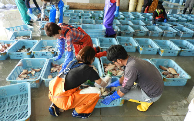 Joban-Mono:  The Most Delicious Fish In Japan Powering Fukushima’s Revival