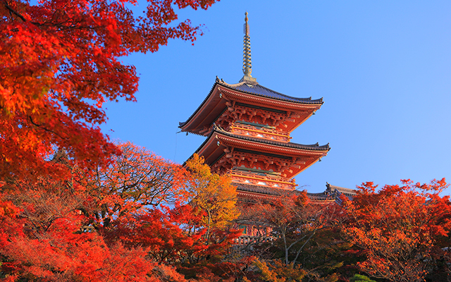 Best Places in Japan to View Autumn Leaves