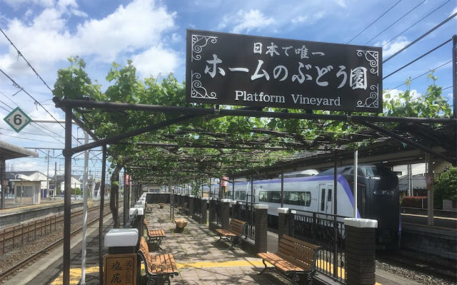 Shiojiri Station – The train station that doubles as a wine vineyard