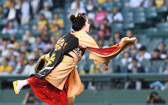 [Hidden Wonders of Japan] A Maiko Does the Ceremonial First Pitch at Koshien Baseball Stadium
