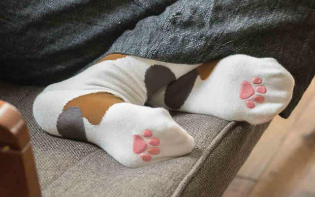 Turn Your Feet Into Squishy Cat Paws With These Japanese Kitty Socks!