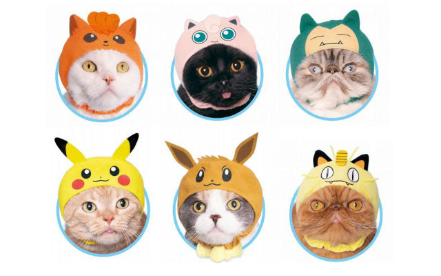 Pokemon Cat Caps Turn Your Pets Into Your Favorite Pocket Monster!