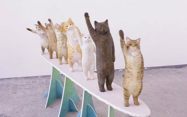 Japanese Art Student’s Graduation Project Is A Lineup Of Cats Adorably Asking You For High Fives