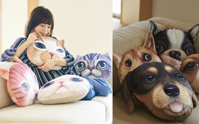 Big-Eyed Realistic Cat And Dog Head Cushions Are Here To Stare Into Your Soul And Provide Cuddles