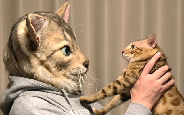Japanese Service Creates Wearable Super Realistic Replicas Of Your Pet’s Head
