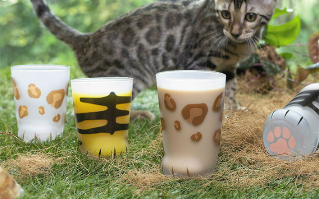 Bubbly Kitty Foot Glasses Turn Your Drink Into An Adorable Cat’s Paw