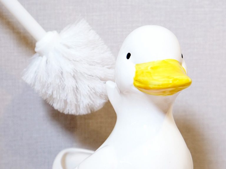 Holding a toilet brush is a hard job, but this duck case from Japan is happy to help out