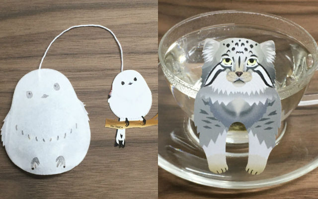 Long-Tailed Tit And Manul Cat Teabags Are Here To Be Your Adorable Teatime Buddies