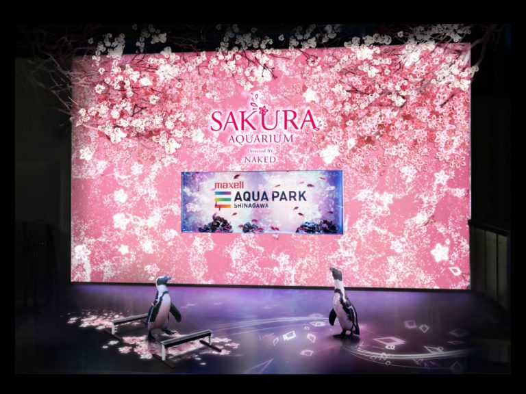 Maxell Aqua Park Shinagawa Welcomes Sakura Season — Underwater