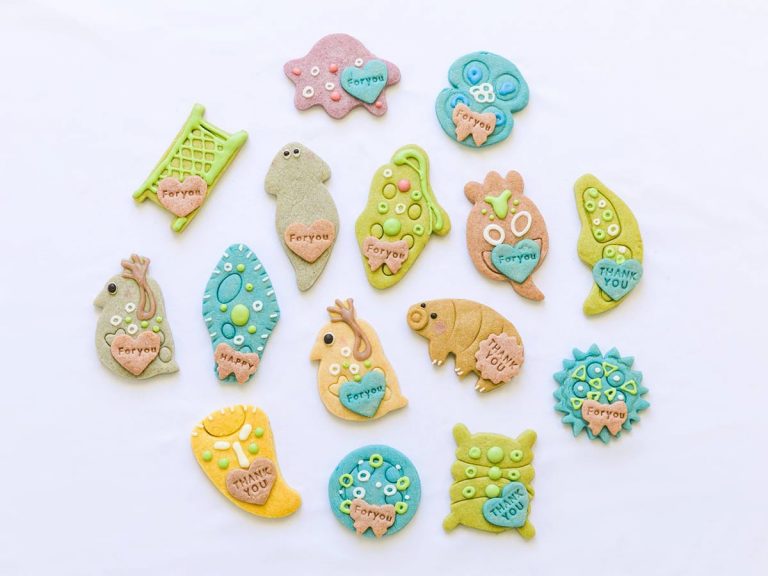 Microscopic creatures have never looked as cute as these colorful cookies from a Japanese cookie store
