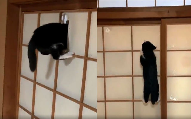 Traditional Japanese Sliding Doors, Japanese Sliding Doors