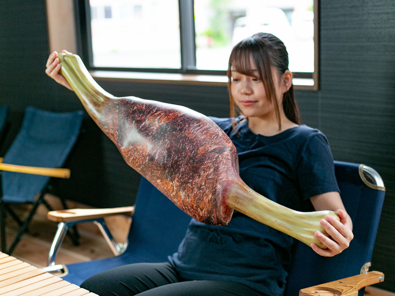 Monster Hunter items ‘Raw Meat’ and ‘Burnt Meat’ come to life as cushions in Japan
