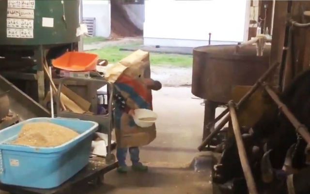 Mysterious Superhero “Feed Bag Man” Feeds Cows In Japan While Wearing…A Feed Bag