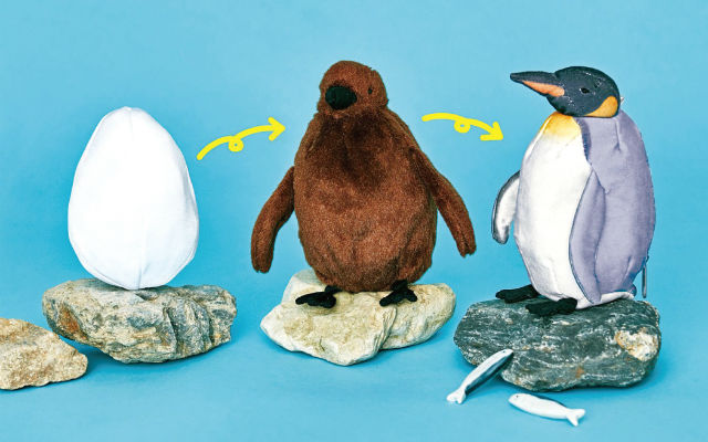 Evolving Penguin Plushie Goes From Egg To King But Stays Cuddly All The Time