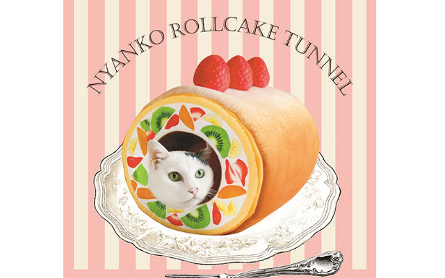 Turn Your Cat Into A Napping Dessert With The Kitty Rollcake Tunnel