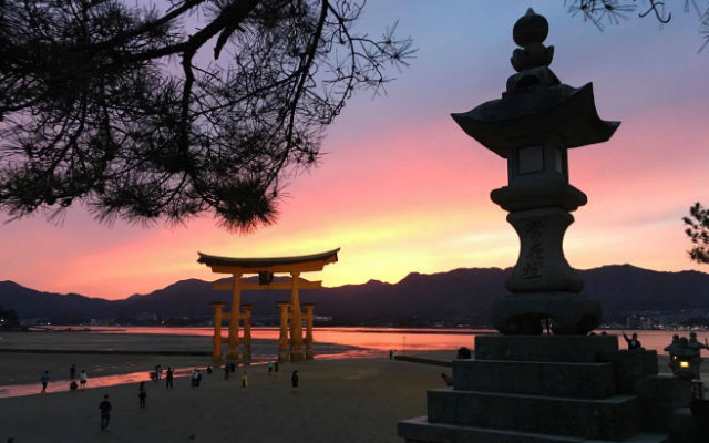 Tourists’ Good Luck Ritual Is Tarnishing Beauty Of Japan’s Most Iconic Shrine