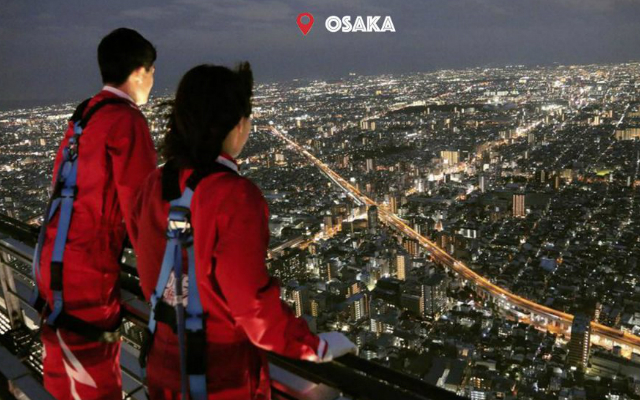 [Hidden Wonders of Japan] Experience Drop from Abeno Harukas, the Tallest Building