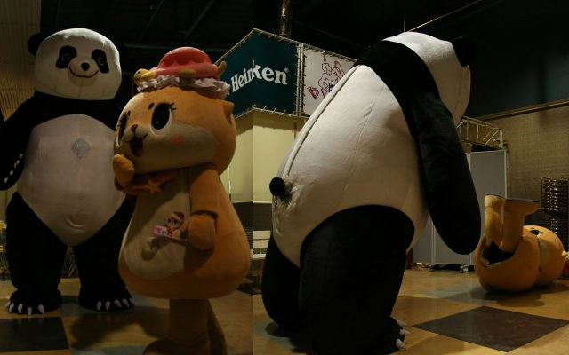 Giant Pro-Wrestling Panda Terrorizes Japanese Mascot World