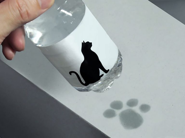 Beverage bottle for cat lovers leaves adorable paw prints behind