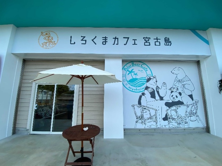 Real life Polar Bear Cafe opened in Okinawa with awesome character menu and indoor beach