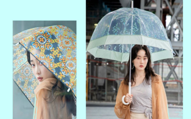 Tips for staying dry and safe during rainy season in Japan