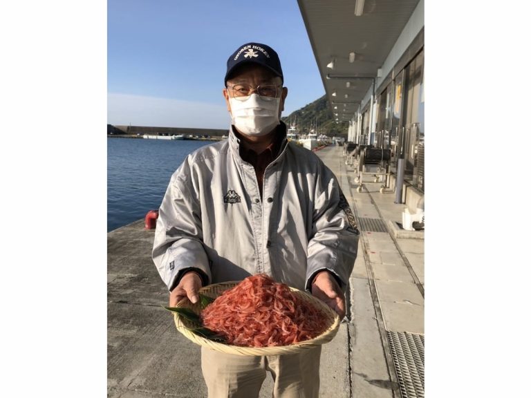 Japan’s unique ‘cherry blossom’ shrimp fishing season has started!