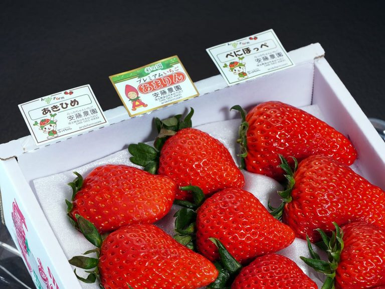 Strawberry picking farm hopes to avoid corona food loss by selling local berry varieties online