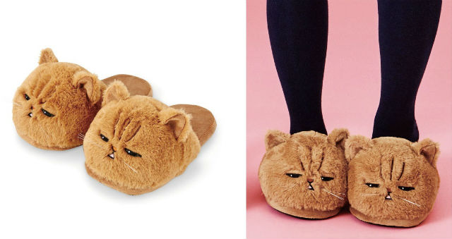 cat face slippers
