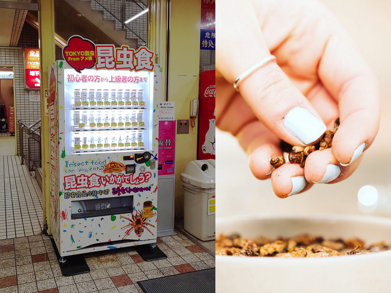 Japan’s edible insect vending machines dish out luxury bug bits