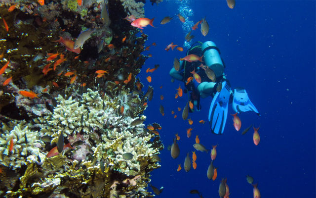 Okinawan city begins ocean cleaning program to jumpstart tourism and heal the reefs