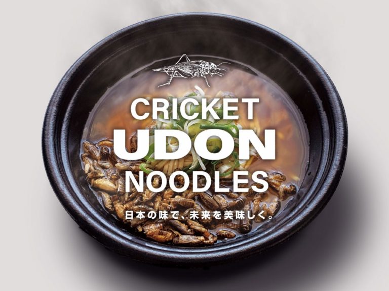 Japan’s first ever insect instant noodles released with 100-cricket packed udon bowls