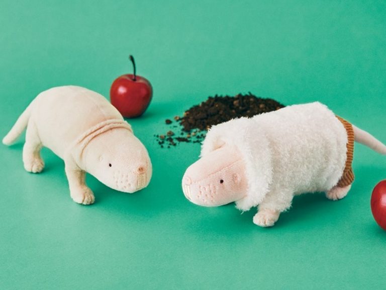 Burrow into cuddles with naked mole-rat plushies from Japan