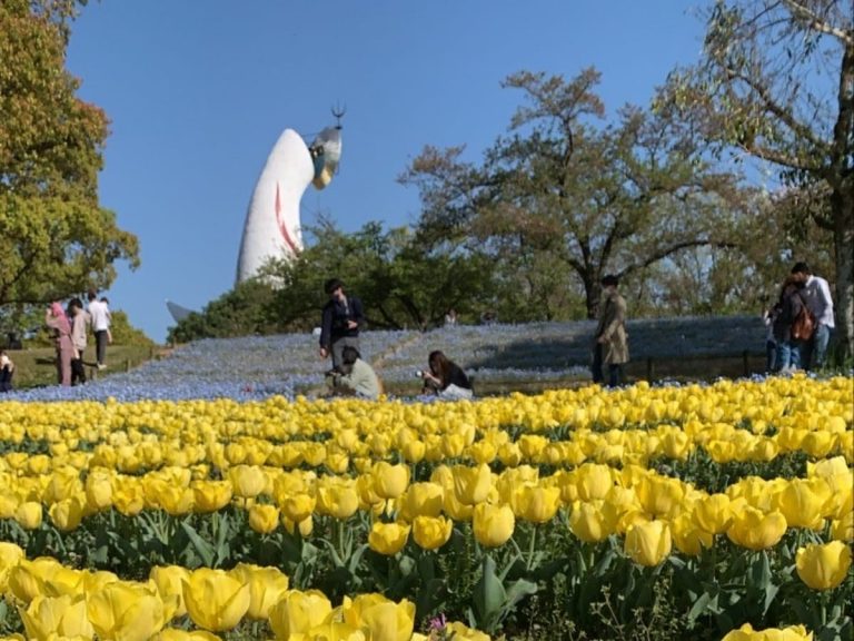 Sakura Season is Over, Time for Tulips at Osaka’s Expo Park
